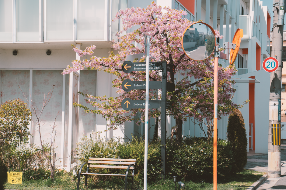 Plastikfreie Alternativen im Alltag: Selbermachen oder Fachbetrieb beauftragen? Der Kostenvergleich